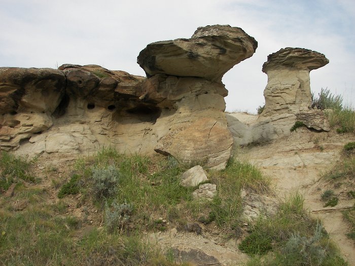 Kanada 2007 Dinopark (27)